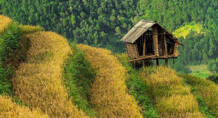 Kinh nghiệm du lịch Tú Lệ tự túc với mọi chi tiết hấp dẫn
