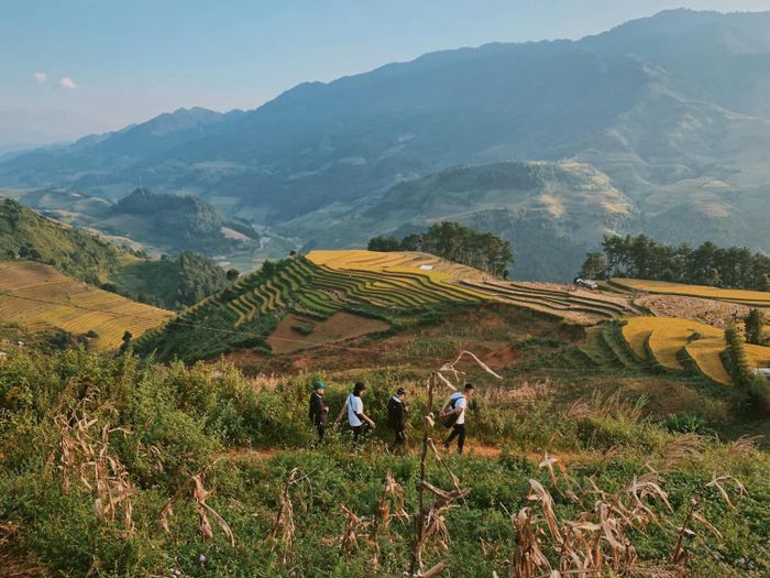 Thưởng ngoạn vẻ đẹp của Mù Cang Chải khi cuối mùa lúa chín, khiến lòng người say đắm.