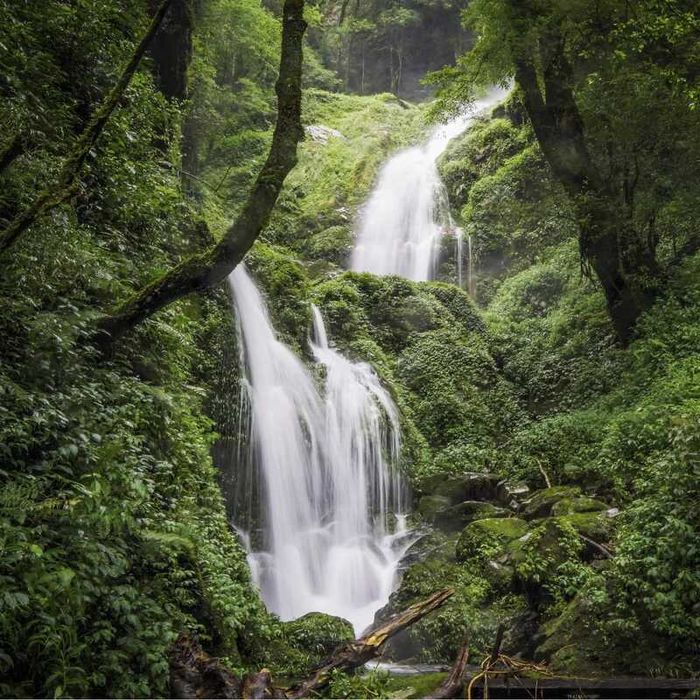 Trekking ở Lùng Cúng Yên Bái, một điểm đến đặc biệt giữa rừng già
