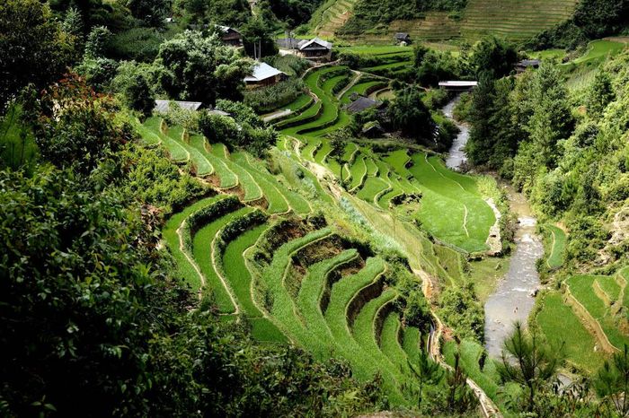 Khám phá Ruộng bậc thang xã Zế Xu Phình say lòng người