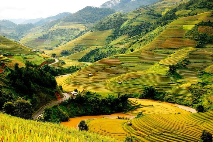 Hành trình Mù Cang Chải 3N2Đ tự túc hứa hẹn mang đến niềm vui không ngừng!