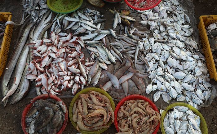 Chọn lựa top 5 chợ hải sản Vũng Tàu để thể hiện đẳng cấp ẩm thực của bạn ngay và luôn! 18