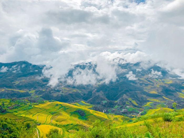 Khám phá Mù Cang Chải trong 2 ngày 1 đêm vào mùa vàng lung linh như tranh vẽ 2