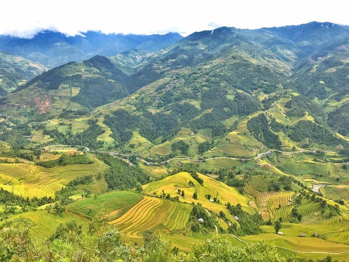 Trải nghiệm vẻ đẹp của Bản Lìm Mông trong mùa lúa chín là một trải nghiệm đầy kỳ diệu
