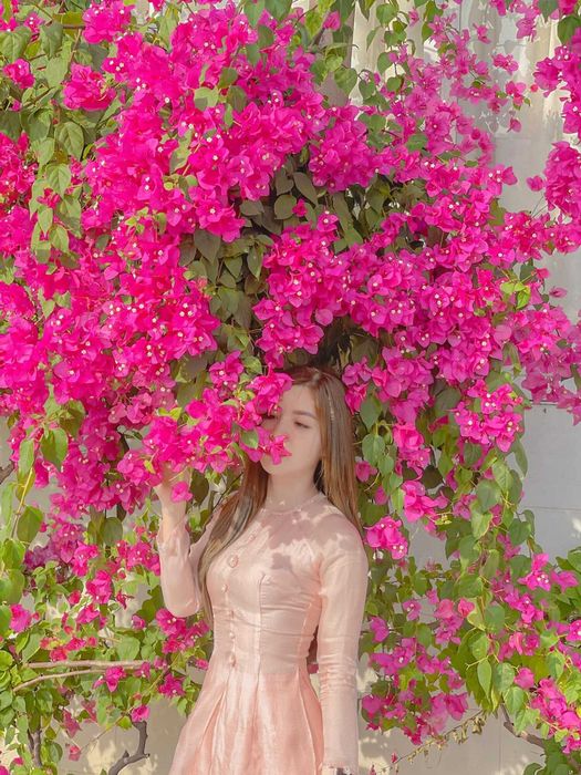 Thưởng ngoạn mùa hoa giấy ở Vũng Tàu - Vẻ đẹp mong manh và mạnh mẽ của loài hoa nắng gió 14