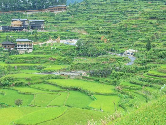 Khám phá Thiên Mộ Miêu Trại, nơi lưu giữ bản sắc dân tộc Miêu.