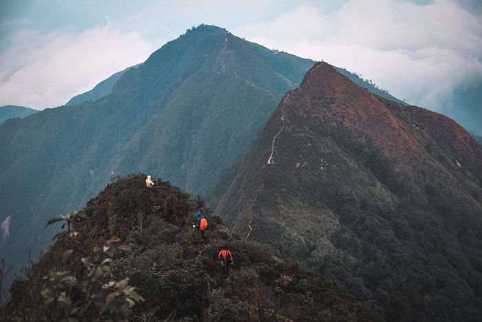 Bí quyết trekking Tà Xùa - Yên Bái cho nhóm mê phượt