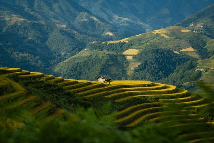Tiết lộ đánh giá Tú Lệ - Yên Bái không thể bỏ lỡ 11