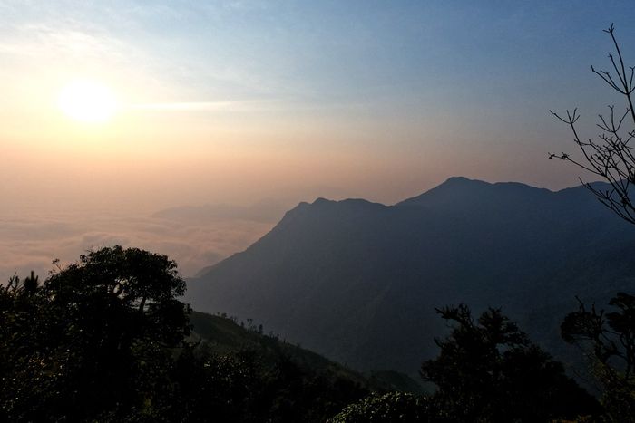 Chinh phục đỉnh núi Tà Xùa - Hành trình trekking 3 ngày 2 đêm đầy hấp dẫn!
