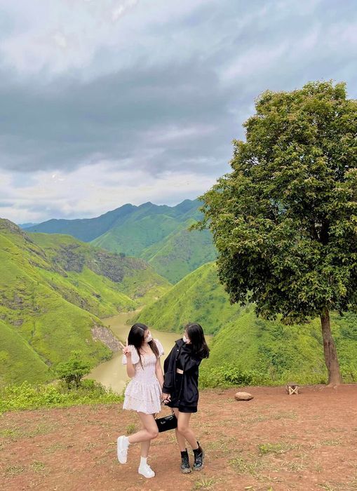 Trải nghiệm Tà Xùa như một bức tranh sống động, với không gian thiên nhiên tươi đẹp dưới ánh nắng rực rỡ.