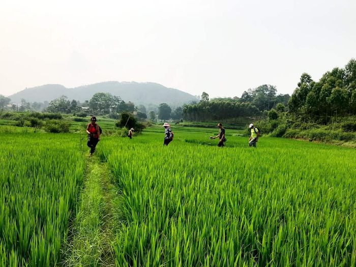 Khám phá sự độc đáo của văn hóa Bản Ngòi Tu 4