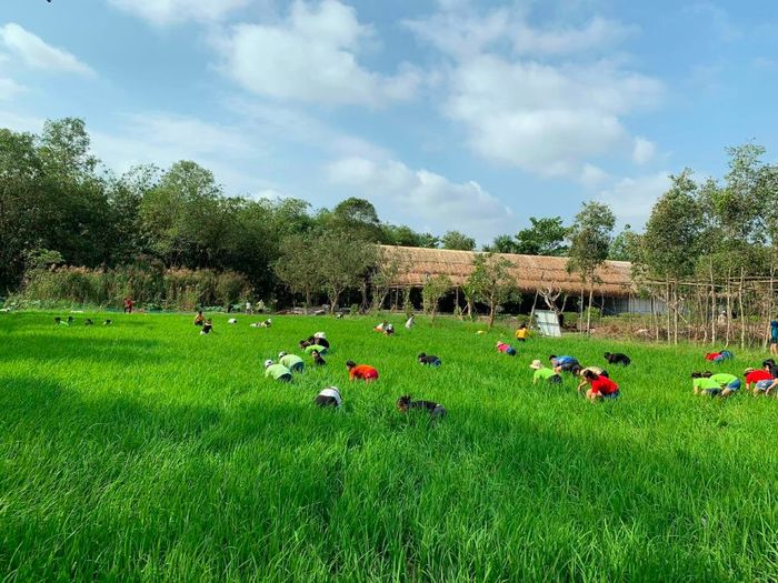 Khám phá khu du lịch sinh thái Hoàng Hảo 7 ở Vĩnh Long