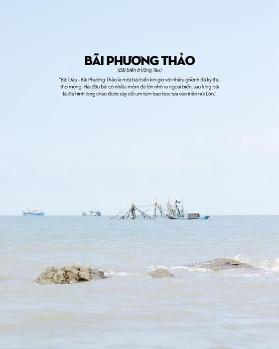Bãi Dâu Vũng Tàu không chỉ có những con hẻm dễ thương, mà còn nhiều điều đáng yêu khác.