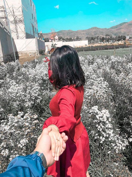Bầu trời tím mộng mơ nhẹ nhàng với sắc hoa thạch thảo tại Vũng Tàu 19