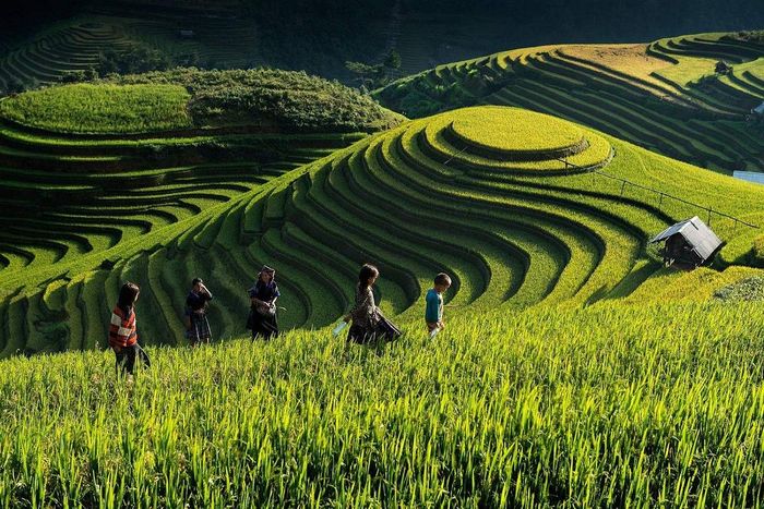 Bật mí đánh giá về Tú Lệ - Yên Bái không thể bỏ qua 3