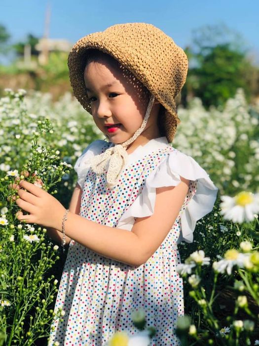 Bầu trời tím mộng mơ nhẹ nhàng với sắc hoa thạch thảo tại Vũng Tàu 21