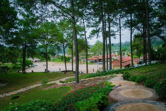 Lập kế hoạch chi tiết cho chuyến du lịch Mộc Châu 3 ngày 2 đêm phần 5.