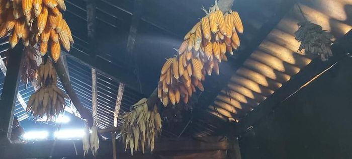 Đánh giá Tà Xùa - Hành trình theo bóng mặt trời của chàng trai sinh năm 90 (phần 6)