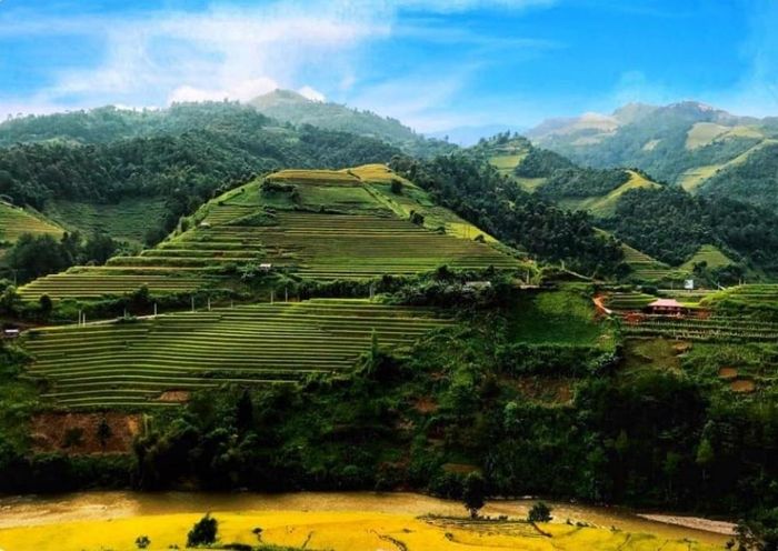 Đánh Giá Mù Cang Chải - Hương lúa quyện trong hồn kỷ niệm vùng quê 4