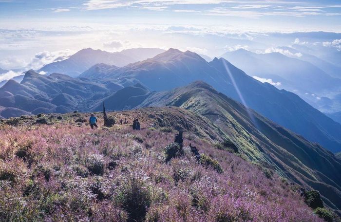 Tham gia Mytour.vn khám phá Mùa hoa tím trên đỉnh Tà Chì Nhù 6
