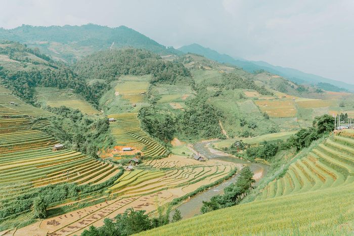 Gợi ý Lịch trình Yên Bái - Nghĩa Lộ - Mù Cang Chải 3 ngày tự túc 7