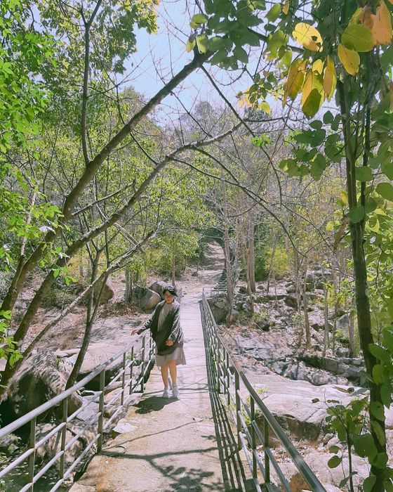 Safari núi Dinh Vũng Tàu: Được gọi là Đà Lạt của miền Nam
