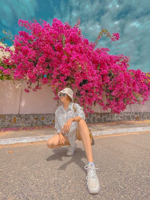 Ngắm nhìn mùa hoa giấy ở Vũng Tàu - Vẻ đẹp mong manh và mạnh mẽ của loài hoa nắng gió 15