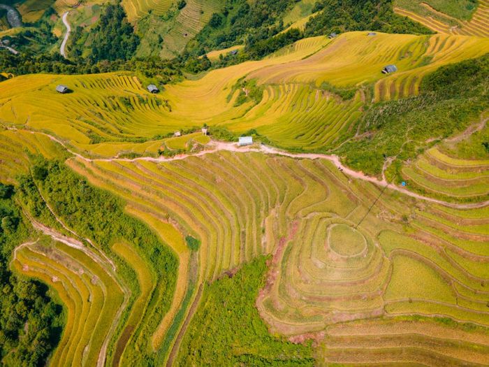 Khám phá Đồi Mâm Xôi Bé trên con đường du lịch Mù Cang Chải 4