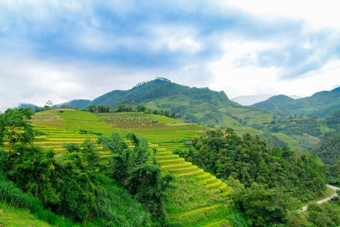 Bắt đầu hành trình khám phá Mù Cang Chải săn mùa vàng