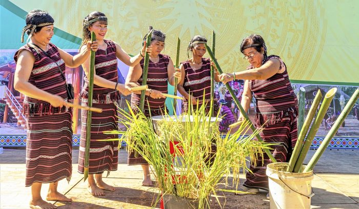 Lễ hội Nhan Lúa, Thần Nông (Châu Ro) truyền thống mang đến những trải nghiệm gì đặc biệt?