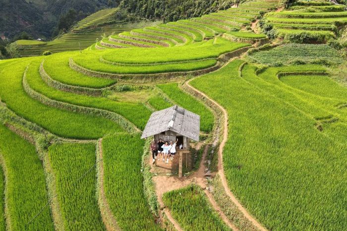 Khám phá bức tranh Tây Bắc tuyệt đẹp tại Mù Cang Chải