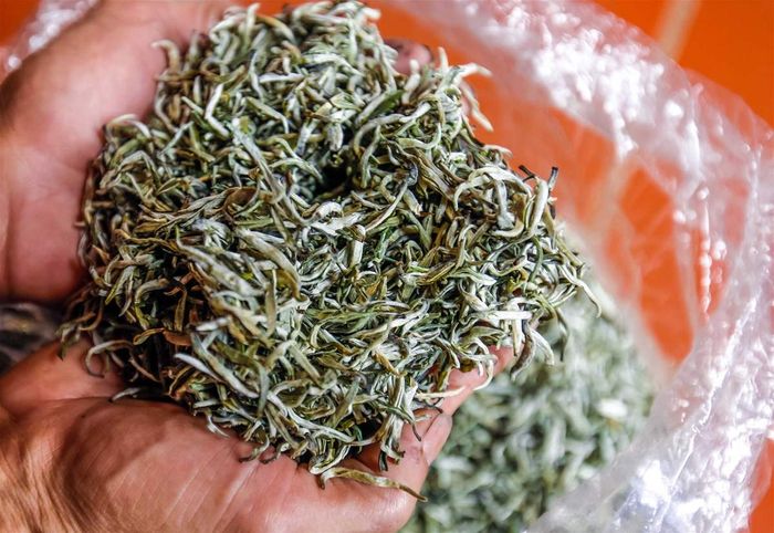 Kinh nghiệm du lịch Suối Giàng để khám phá đẹp nhất.