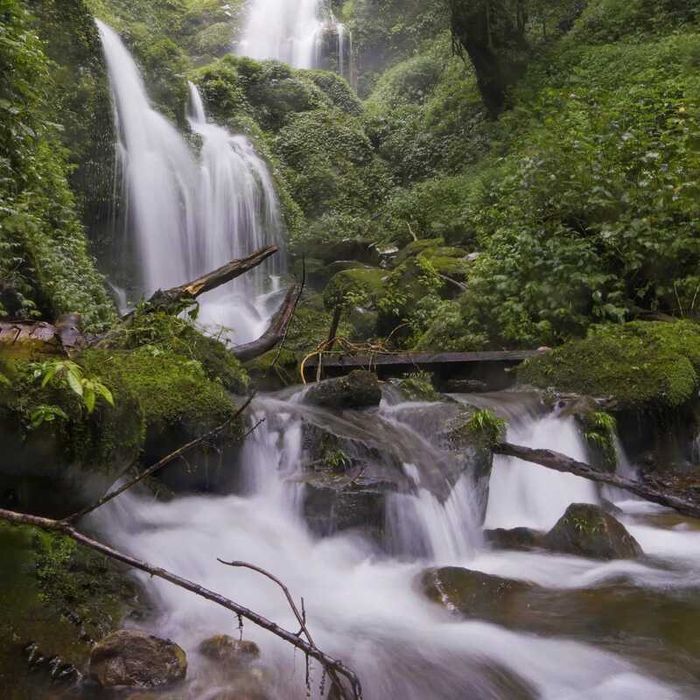 Trekking ở Lùng Cúng Yên Bái, điểm đến độc đáo giữa rừng già