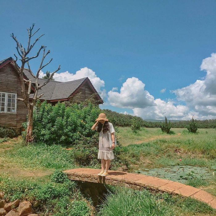 Kinh nghiệm khám phá Đà Lạt Milk Farm - Nông trại “sống ảo” như ở phương Tây