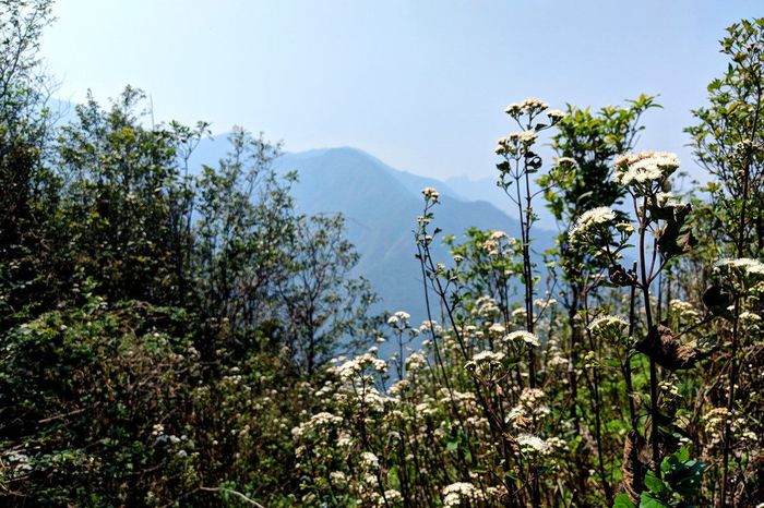 Chương trình trekking Tà Xùa 3 ngày 2 đêm - 72 giờ leo núi săn mây phiên bản 7