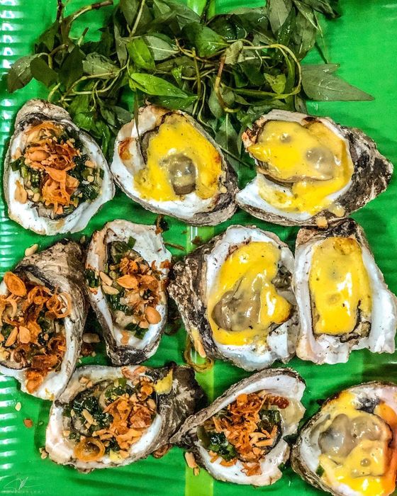 Lịch trình khám phá đảo Long Sơn trong một ngày - Trải nghiệm cuộc sống của ngư dân trong làng bè 12