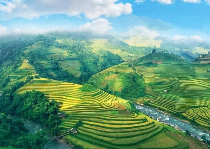 Đánh Giá Mù Cang Chải - Hương lúa quyện trong hồn kỷ niệm vùng quê 6