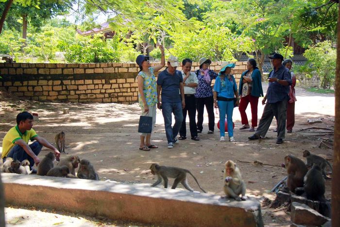 Chùa Khỉ Vũng Tàu – Thiền Viện Trúc Lâm Chân Nguyên dưới chân núi Kỳ Vân 17