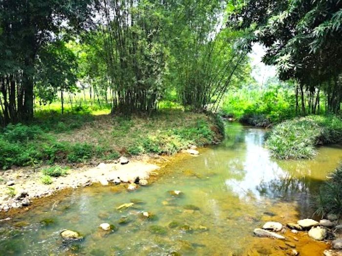 Chiến khu Vần - Dấu tích lịch sử hào hùng của Yên Bái 4