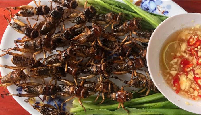 Muồm muỗm rang Mường Lò - Hương vị đặc trưng của Yên Bái