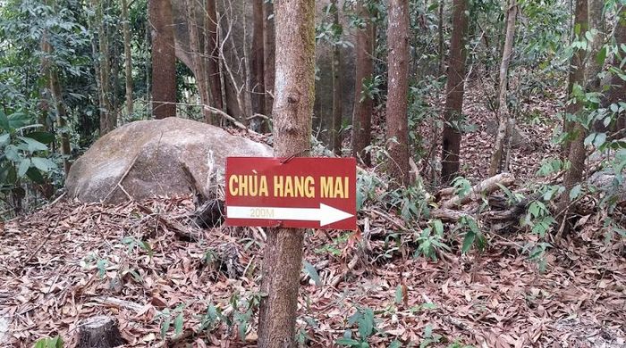 Núi Dinh Vũng Tàu: Điểm đến đặc biệt cho chuyến trekking đầu tiên