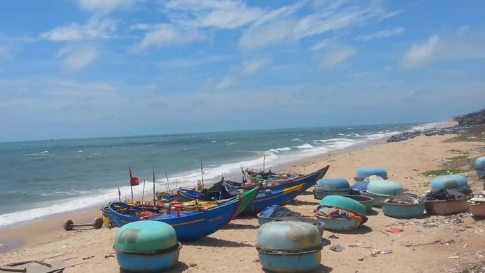 Danh sách 9 địa chỉ mua hải sản tươi sống Vũng Tàu không thể bỏ qua cho những ai đam mê ẩm thực
