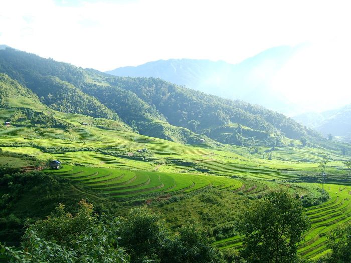 Xin chào! Đến đây bạn sẽ có trải nghiệm du lịch Trạm Tấu tự túc siêu đỉnh!