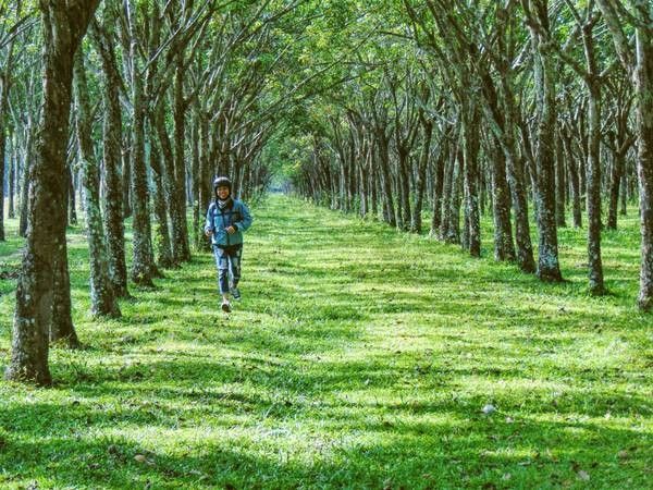 Khám phá 4 tuyến đường phượt đẹp từ Sài Gòn tới Vũng Tàu
