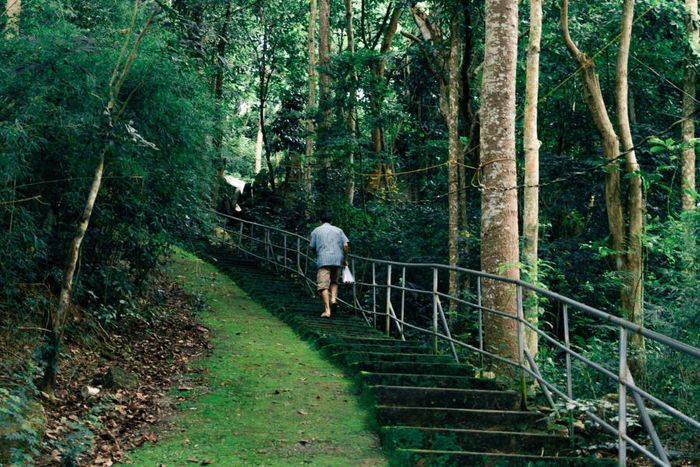 Mùa thu đã trở lại Vũng Tàu, mang theo sự yên bình trên mỗi con đường nhỏ
