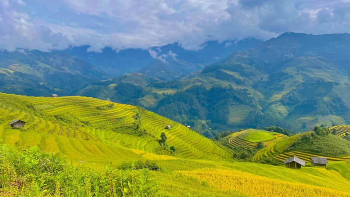 Khám phá Vẻ đẹp cuốn hút của Ruộng bậc thang Mù Cang Chải 4