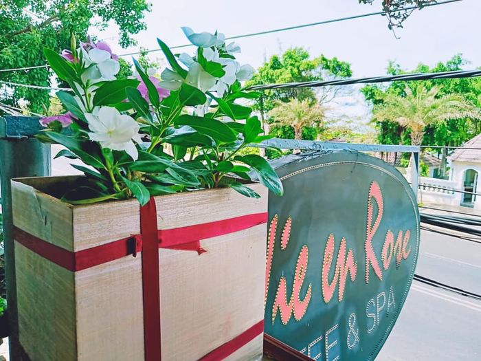 Bị cuốn hút trước vẻ đẹp tuyệt vời của biển từ những quán cà phê nhìn ra biển Vũng Tàu 17