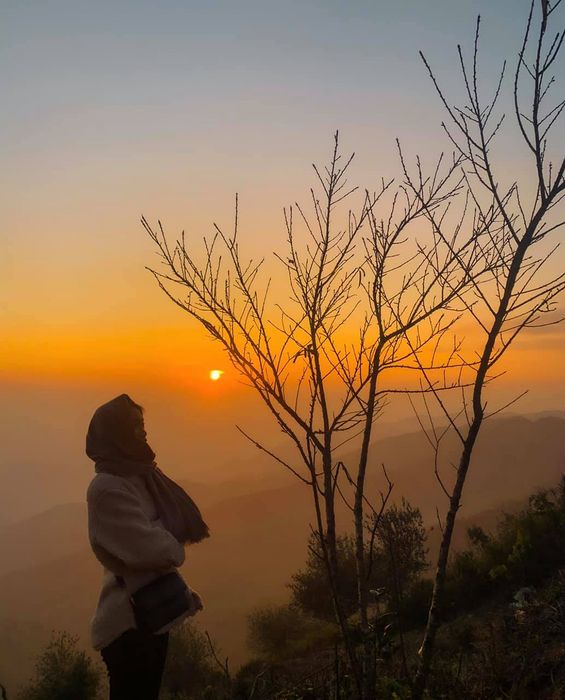 Khám phá 3 ngày trekking chinh phục Tà Xùa - Một cuộc phiêu lưu đáng nhớ