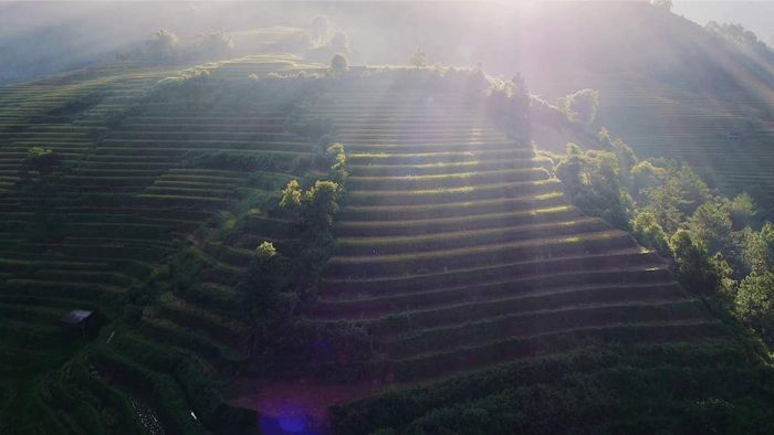 Đánh Giá La Pán Tẩn - Mê mẩn cảnh đẹp ruộng bậc thang mùa vàng 5