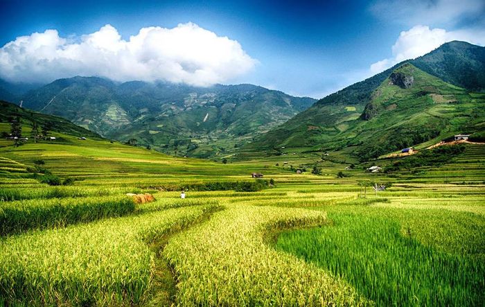 Bản Chao Hạ với cuộc sống yên bình giữa thung lũng Mường Lò 4